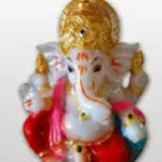 Meena M